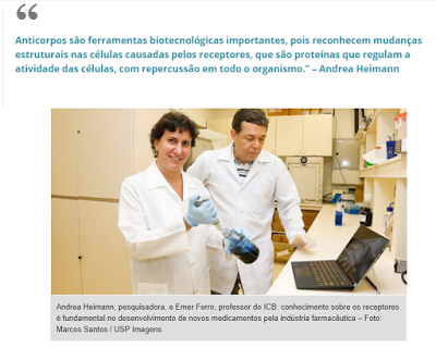 Cientistas da USP utilizam anticorpos produzidos em laboratório que facilitam busca por medicamentos