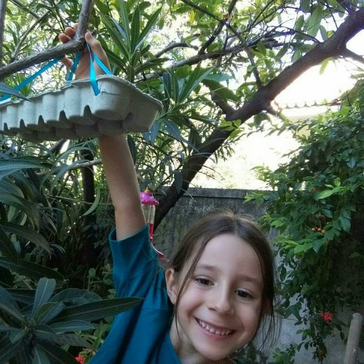 Comedouro para Pássaros