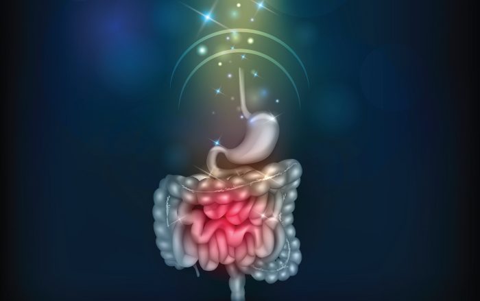 Fatores ambientais das Doenças Inflamatórias Intestinais