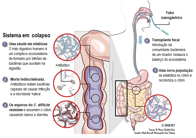 Manutenção de uma microbiota saudável se assemelha a cuidar de um jardim