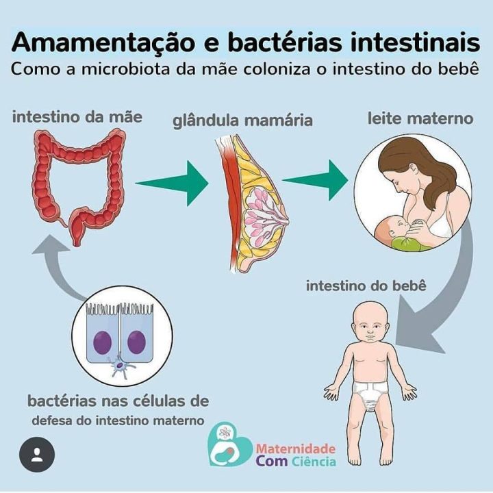 Amamentação e bactérias intestinais