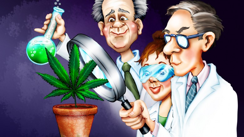 Cannabis pode controlar a inflamação na doença de Crohn e retocolite ulcerativa, diz estudo