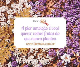 Plante coisas boas e colha bons frutos