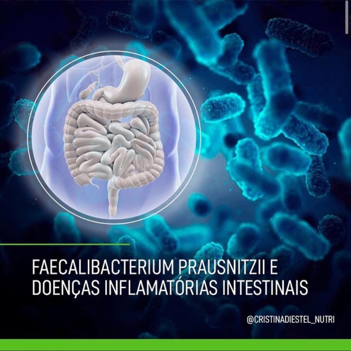 Faecalibacterium prausnitzii