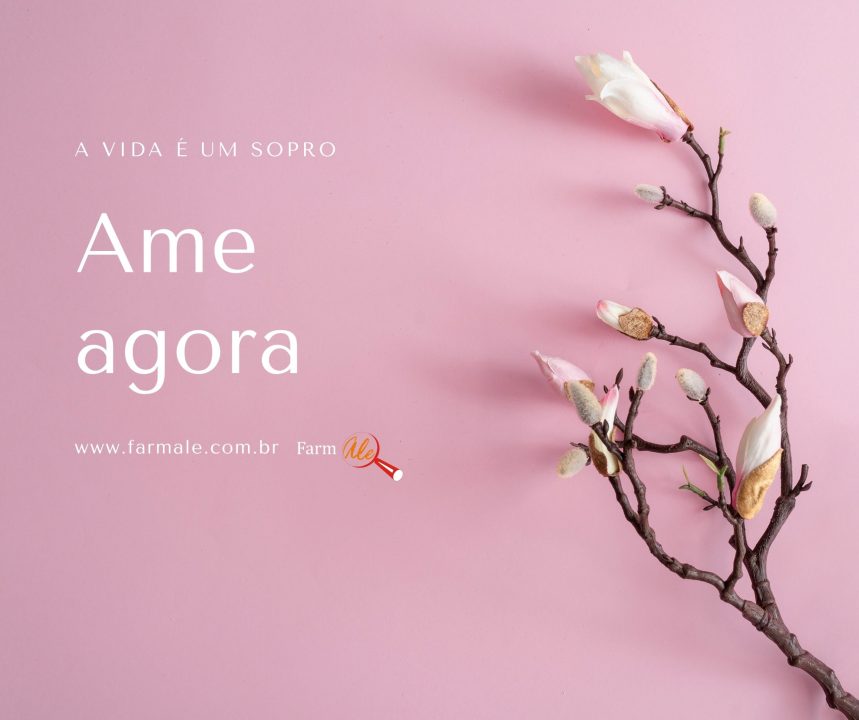 Ame Agora