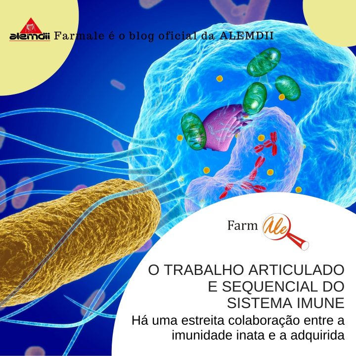 O trabalho articulado e sequencial do sistema imune